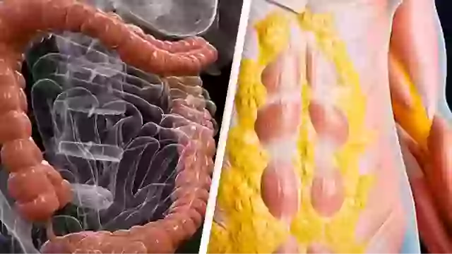 Exactly what happens to your body when you fast for 36 hours as shocking simulation reveals extreme impact